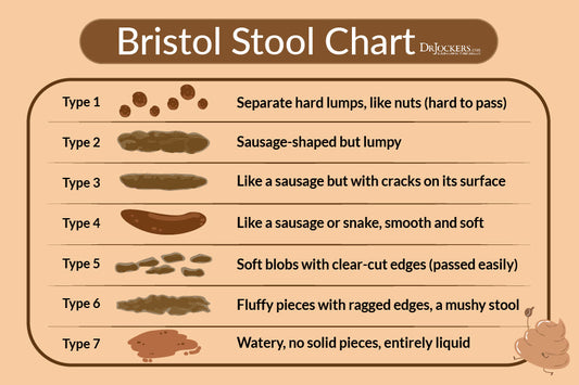 Lets talk about Gut Health (& Poo)